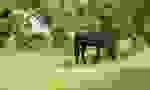 MG 3822 neu